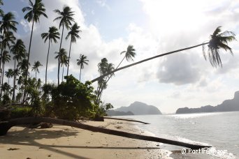 Côte au nord d'El Nido - Philippines