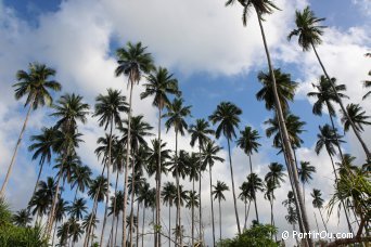 Les îles Palawan et Coron - Philippines