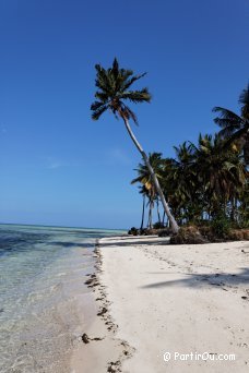 Plage à Coco Loco - Palawan - Philippines