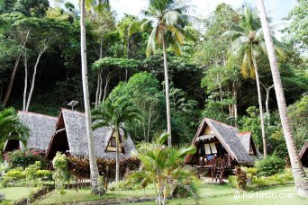 Cottages du "Coconut Garden Island Resort" prs de Port Barton - Palawan - Philippines