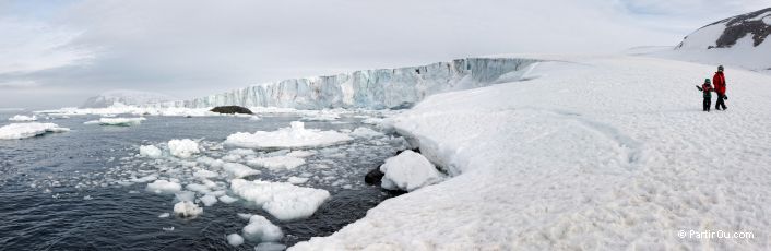 Glacier  cot de Brown Bluff - Antarctique