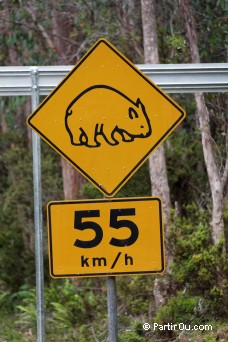 Attention ! Prsence d'animaux sur la route - Australie