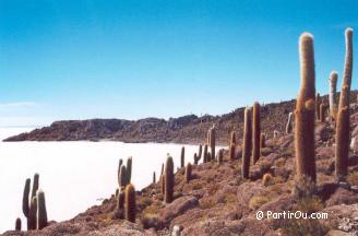 L'Altiplano bolivien - Bolivie