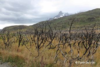 Après un incendie à Torres del Paine - Chili