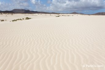 Parc naturel de Corralejo - Fuerteventura