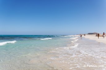 Plage de sable blanc proche de Corralejo - Fuerteventura - Canaries
