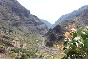 Canyon  Grande Canarie - Canaries