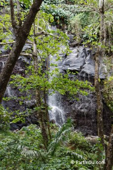 Cascade  Anse des Cascades - La Runion