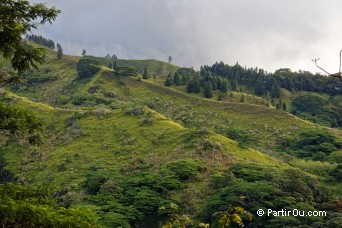 Sentier pdagogique d'Aneane - Tahiti