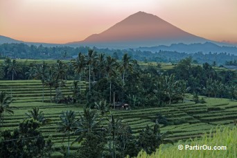 Gunung Agung vue depuis Jatiluwih - Bali - Indonsie