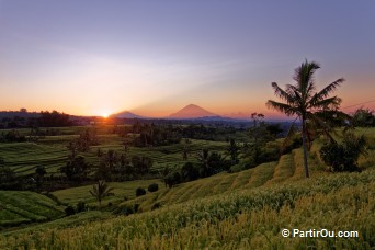 Les volcans Batur et Agung vue depuis Jatiluwih - Bali - Indonsie