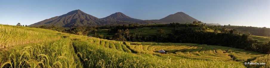 Panorama depuis Jatiluwih - Bali