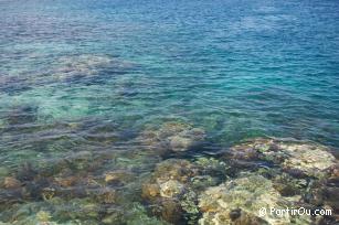 Rcif de coraux  Gili Meno - Indonsie