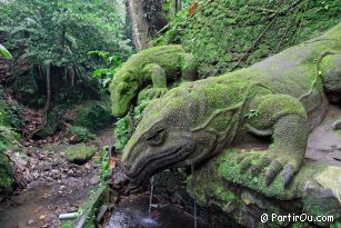 Monkey Forest  Ubud - Bali - Indonsie