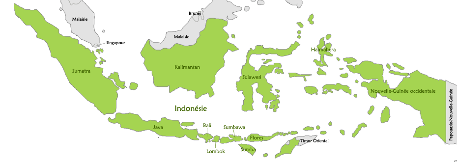 Carte d'Indonsie