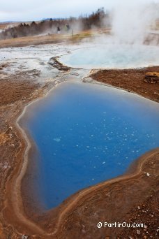 Blesi sur le site de Geysir - Islande