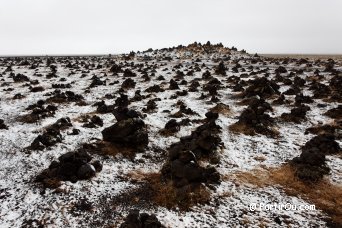Laufsk�lavar�a - Islande