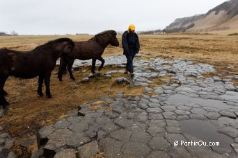 Orgues basaltiques de Kirkjugolf - Islande