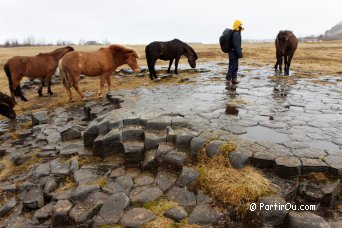 Orgues basaltiques de Kirkjugolf - Islande