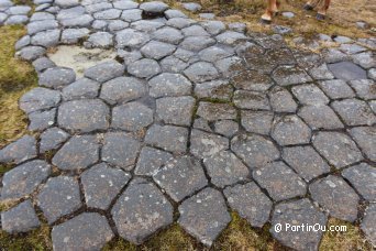 Kirkjugolf - Islande