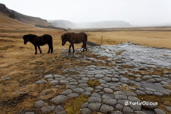 Orgues basaltiques de Kirkjugolf - Islande