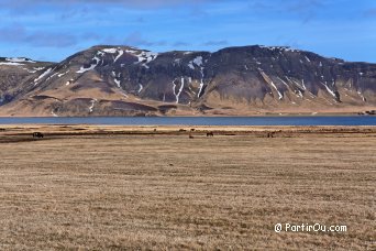 Lac Hei�arvatn - Islande