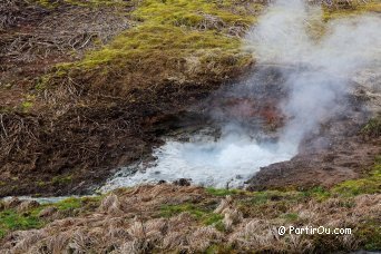 Activit� g�othermique de Hverager�i - Islande