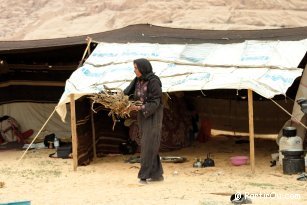 Campement bbouin  Wadi Rum - Jordanie