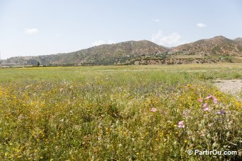 Rgion verdoyante du Rif - Maroc