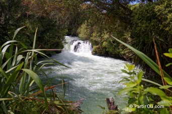 Troot Pool - Okere Falls - Nouvelle-Zlande