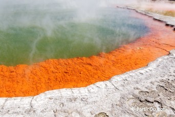 The Champagne Pools - Wai-O-Tapu - Nouvelle-Zlande