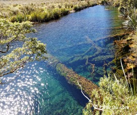 Mirror Lakes - Fiordland - Nouvelle-Zlande