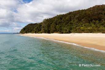 Appel Tree Bay - Abel Tasman National Park - Nouvelle-Zlande