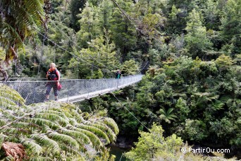 Abel Tasman National Park - Nouvelle-Zlande