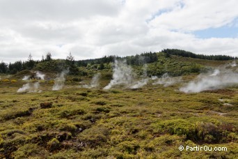 Craters of The Moon à Wairakei Craters of The Moon à Wairakei - Nouvelle-Zélande
