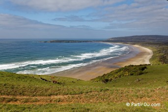 Tautuku Beach - The Catlins - Nouvelle-Zlande