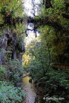 Mangapohue Natural Bridge - Waitomo - Nouvelle-Zlande
