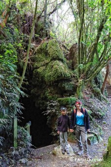 Piripiri Caves - Waitomo - Nouvelle-Zlande
