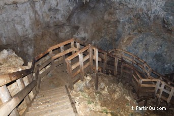 Piripiri Caves - Waitomo - Nouvelle-Zlande