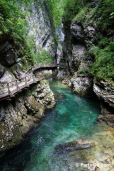 Gorges de Vintgar - Slovnie