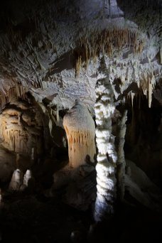 Grotte de Postojna - Slovnie