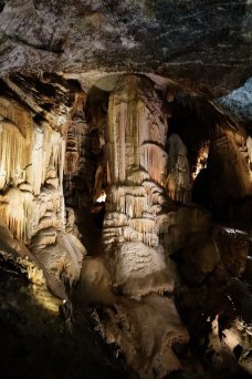 Grotte de Postojna - Slovnie