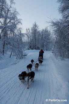 Traneau  chiens - Finlande