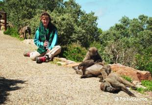 en Afrique du Sud