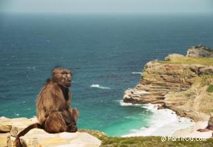 Afrique du Sud