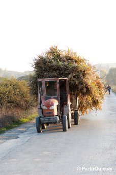 Moyen de transport - Albanie