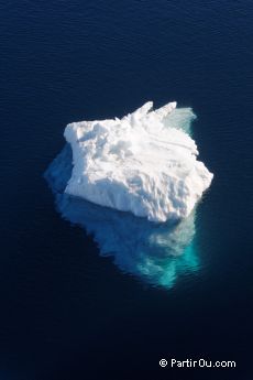 Iceberg - Antarctique