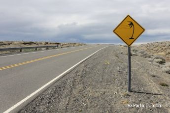 Steppe - Patagonie - Argentine