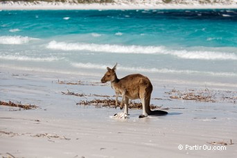 Sud de l'Australie