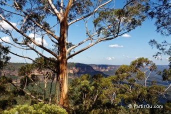 Jamison Valley - Blue Mountains - Australie